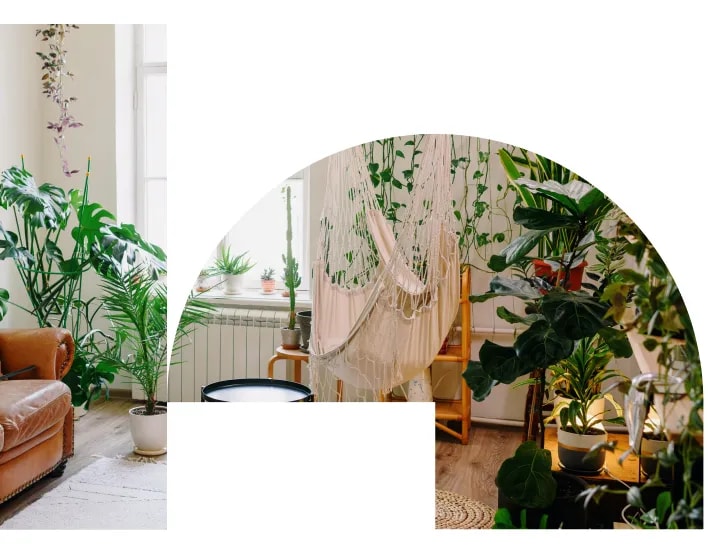 living space with a hammock and plants
